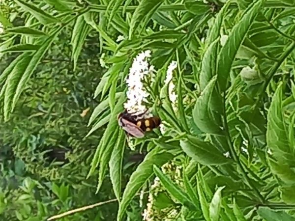 A - nie je v datab&aacute;ze