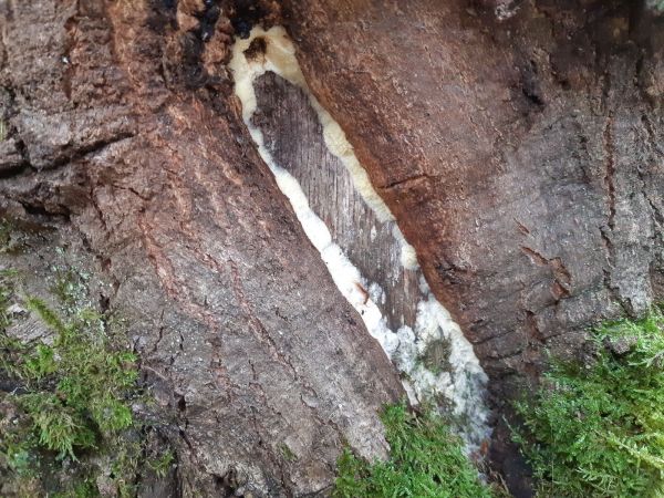 A - nie je v datab&aacute;ze