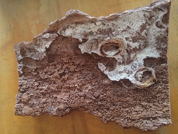 Fuz&aacute;č k&ocirc;rov&yacute;