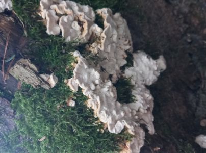 A - nie je v datab&aacute;ze