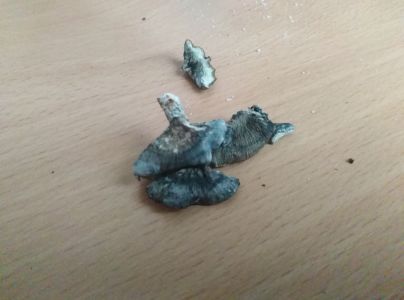 A - nie je v datab&aacute;ze