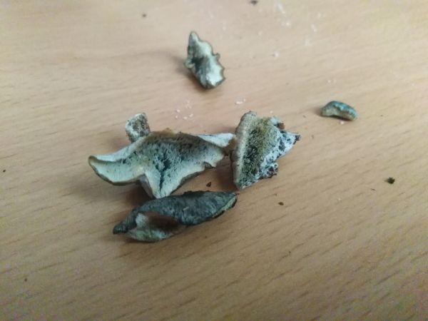 A - nie je v datab&aacute;ze