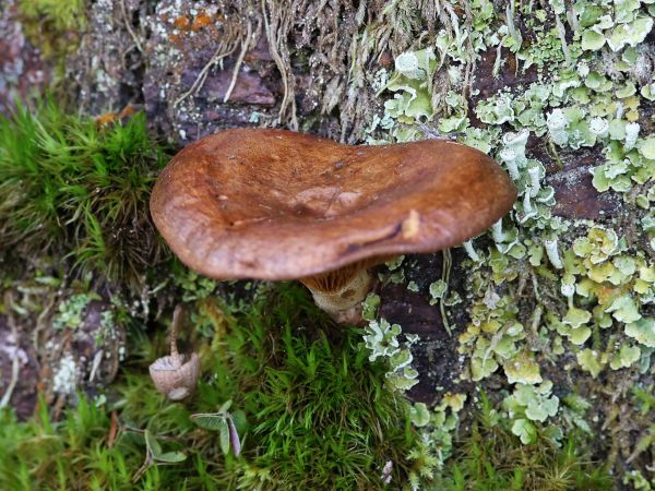 A - nie je v datab&aacute;ze