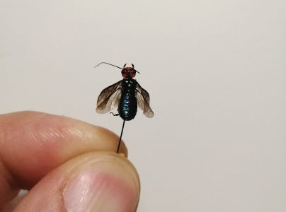 A - nie je v datab&aacute;ze