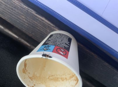 Lienka v&yacute;chodn&aacute;