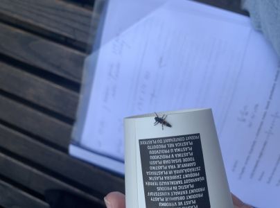 Lienka v&yacute;chodn&aacute;