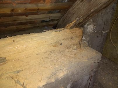 Fuz&aacute;č krovov&yacute;