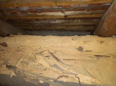 Fuz&aacute;č krovov&yacute;