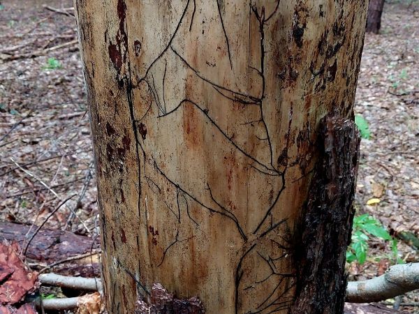 A - nie je v datab&aacute;ze