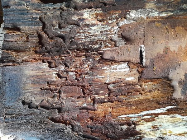 A - nie je v datab&aacute;ze