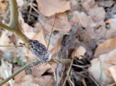 A - nie je v datab&aacute;ze