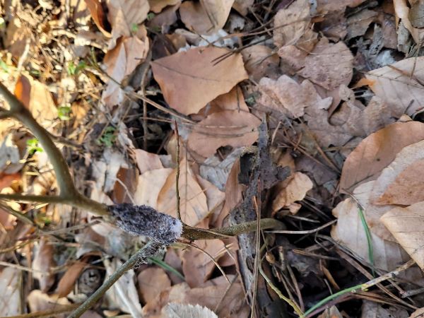 A - nie je v datab&aacute;ze