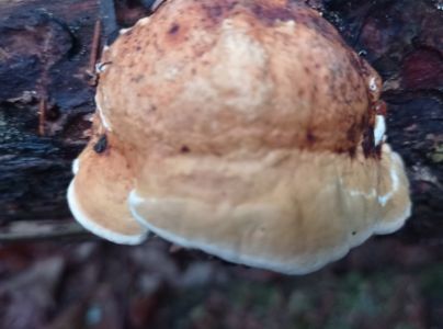 A - nie je v datab&aacute;ze