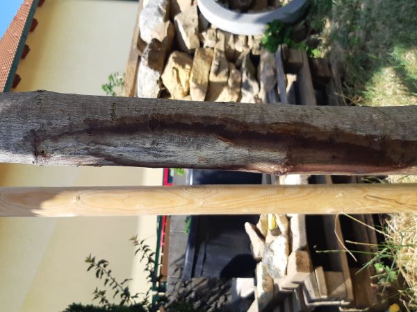 A - nejednoznačne určen&yacute;, nie sme si ist&iacute;