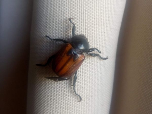 A - nie je v datab&aacute;ze