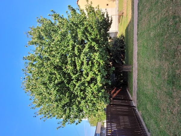 A - nejednoznačne určen&yacute;, nie sme si ist&iacute;