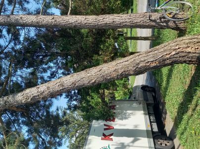 A - nie je v datab&aacute;ze