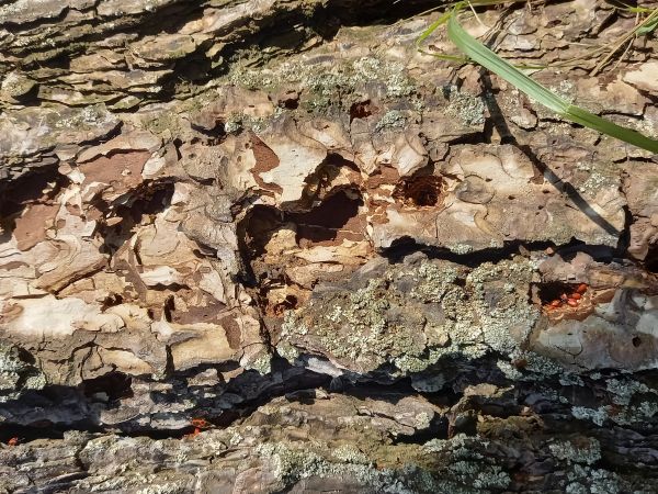 A - nie je v datab&aacute;ze