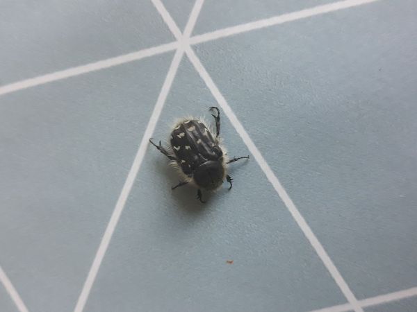 A - nie je v datab&aacute;ze