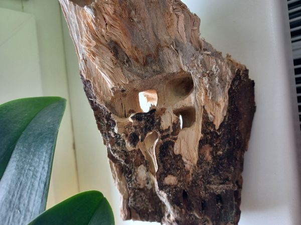 A - nejednoznačne určen&yacute;, nie sme si ist&iacute;