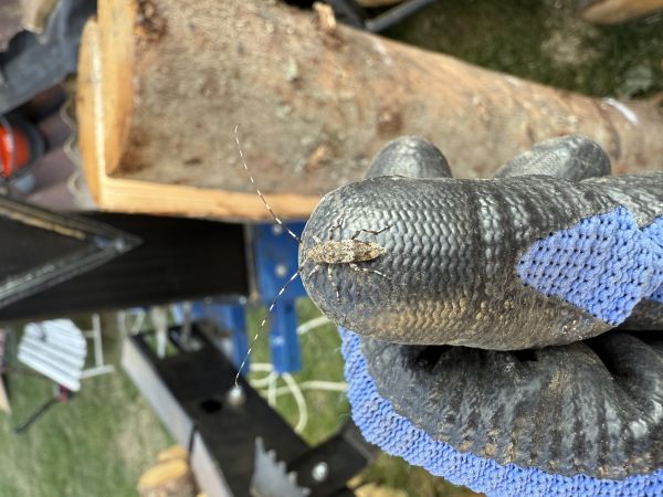 A - nie je v datab&aacute;ze