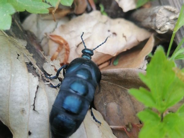 A - nie je v datab&aacute;ze