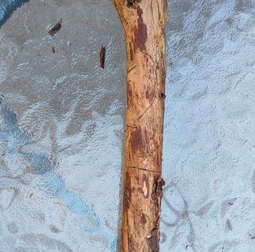 Miroslava Horáková 