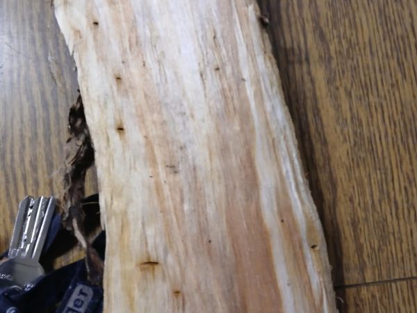 Drvin&aacute;r hned&yacute; 