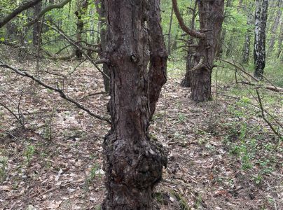 A - nie je v datab&aacute;ze