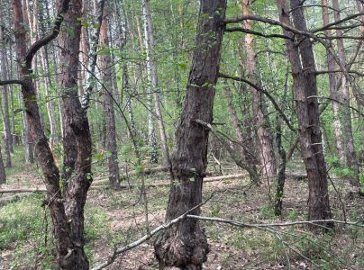 A - nie je v datab&aacute;ze