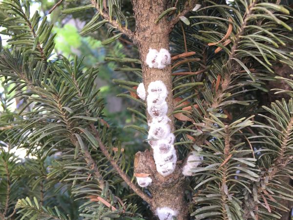 A - nie je v datab&aacute;ze