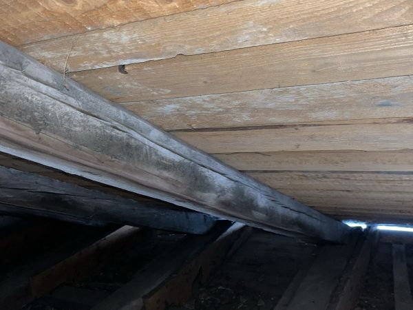 A - nie je v datab&aacute;ze