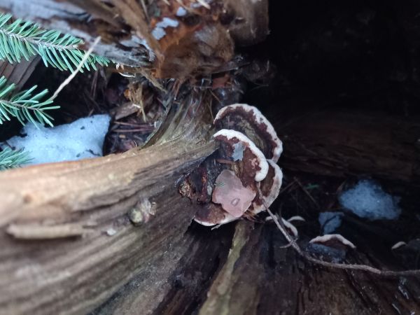 A - nie je v datab&aacute;ze