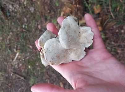 A - nie je v datab&aacute;ze