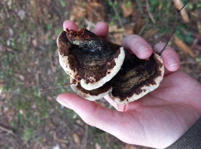 A - nie je v datab&aacute;ze