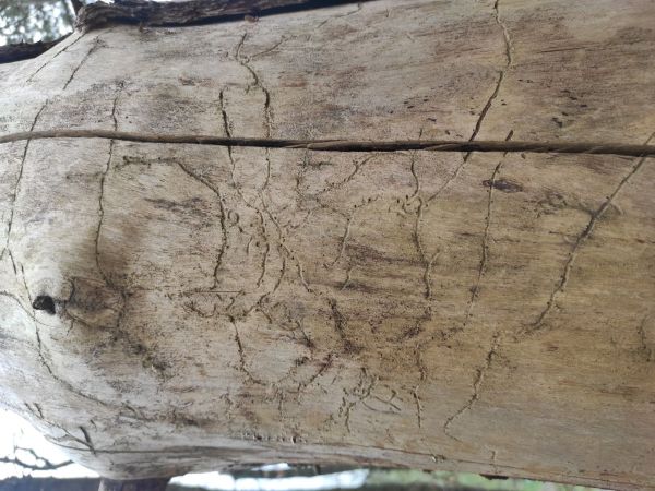 A - nejednoznačne určen&yacute;, nie sme si ist&iacute;