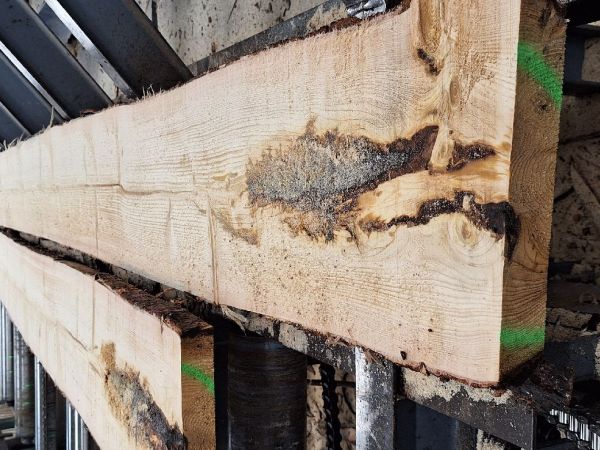 A - nejednoznačne určen&yacute;, nie sme si ist&iacute;