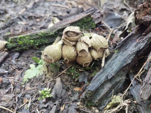 A - nie je v datab&aacute;ze