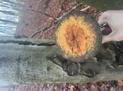 A - nejednoznačne určen&yacute;, nie sme si ist&iacute;