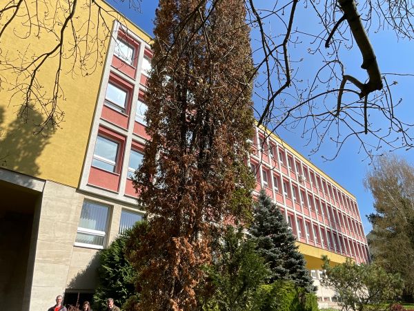 Krasoň borievkov&yacute;