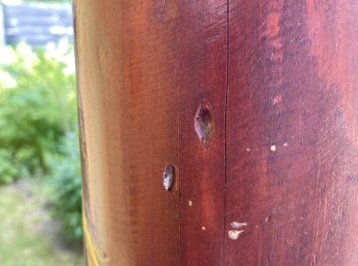 Fuz&aacute;č krovov&yacute;