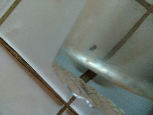 A - nejednoznačne určen&yacute;, nie sme si ist&iacute;