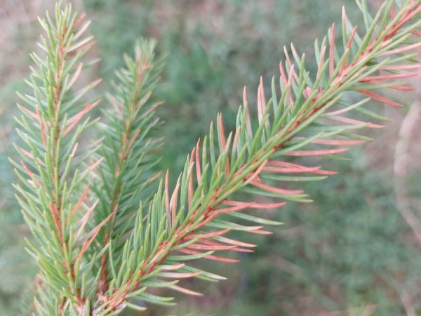 A - nie je v datab&aacute;ze