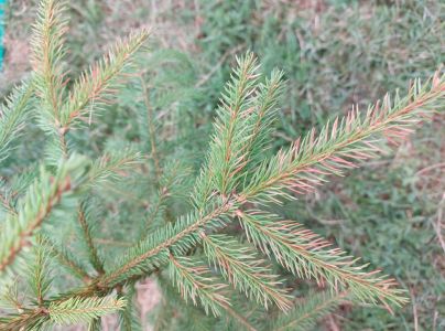 A - nie je v datab&aacute;ze