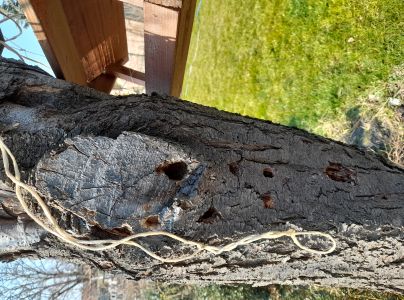 A - nejednoznačne určen&yacute;, nie sme si ist&iacute;