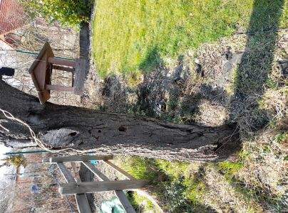 A - nejednoznačne určen&yacute;, nie sme si ist&iacute;