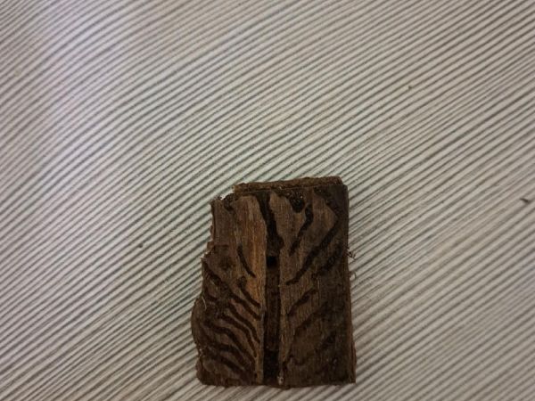 A - nejednoznačne určen&yacute;, nie sme si ist&iacute;