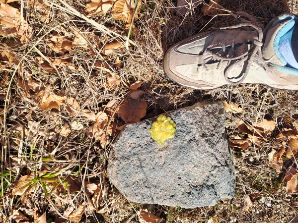 A - nie je v datab&aacute;ze