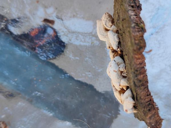 A - nie je v datab&aacute;ze