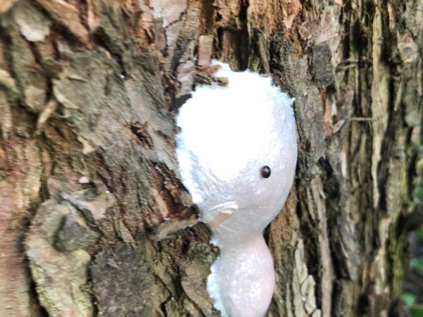 A - nie je v datab&aacute;ze